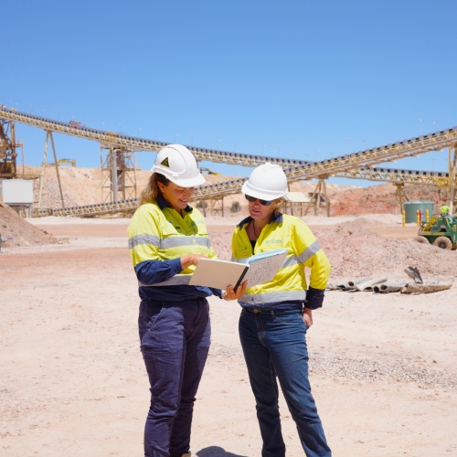 Mine Site Cleaning Plan Stone Cleaning Management Team